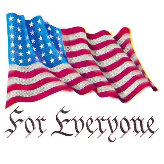 American Flag For Everyone Graphic Tee